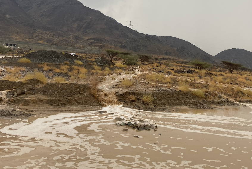 مدارس خاصة بالفجيرة تقرر الدراسة “عن بعد” نظراً لعدم استقرار حالة الطقس