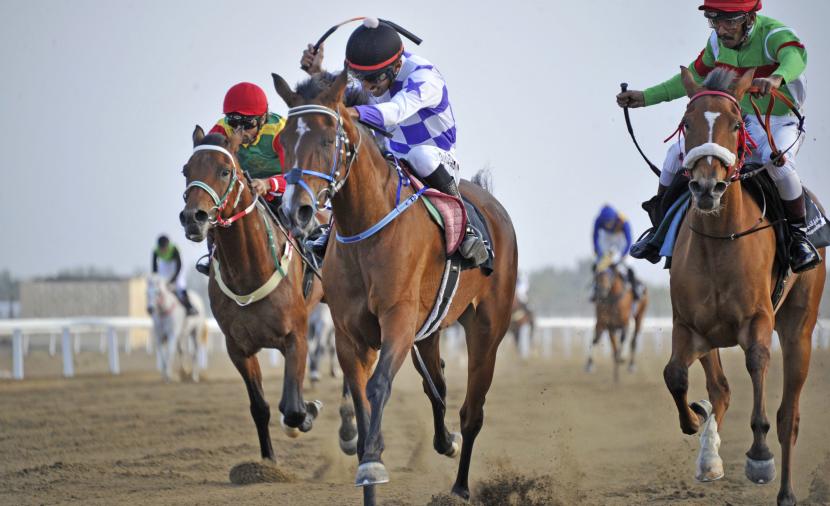 إعلان نتائج 8 أشواط ضمن السباق التاسع للخيول العربية