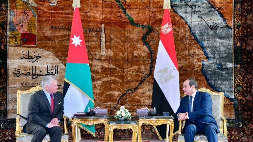 أستاذ إعلام أردني: القاهرة وعمان تمتلكان عناصر قوة ودور هام لحل الأزمة في غزة