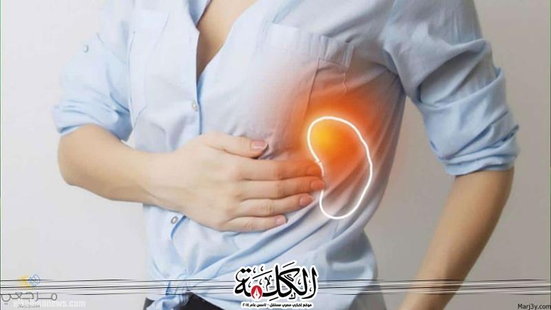 حسام موافي يحذر: استئصال الطحال ممنوع في هذه الحالة.. فيديو | مجتمع | بوابة الكلمة