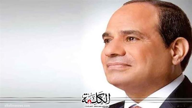 قرار جمهوري بالموافقة على اتفاقيتي تأسيس شركة ”إفريقيا 50” | اقتصاد وتكنولوجيا | بوابة الكلمة