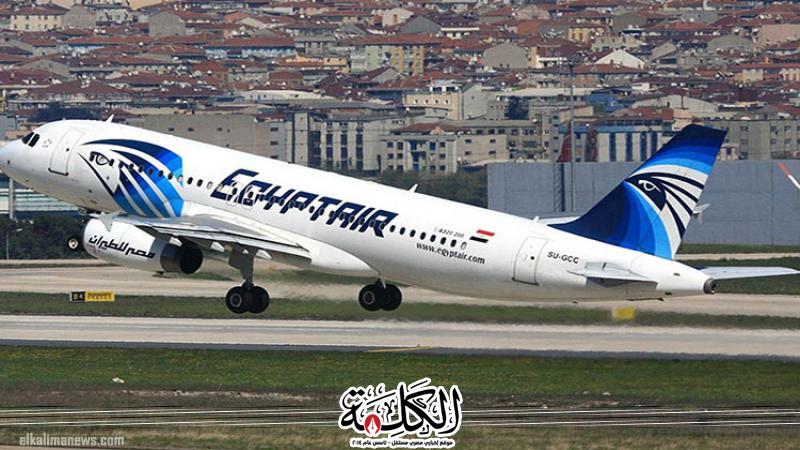 إلغاء رحلتى مصر للطيران رقم MS785/786 من وإلى مطار فرانكفورت | ترانزيت المطار | بوابة الكلمة