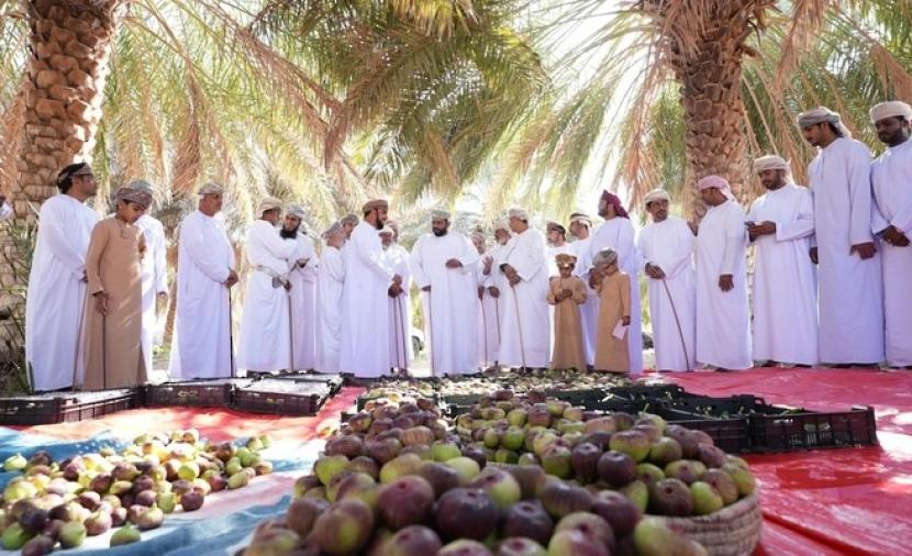 استعراض فرص الاستثمار في المحاصيل الزراعية بولاية سناو