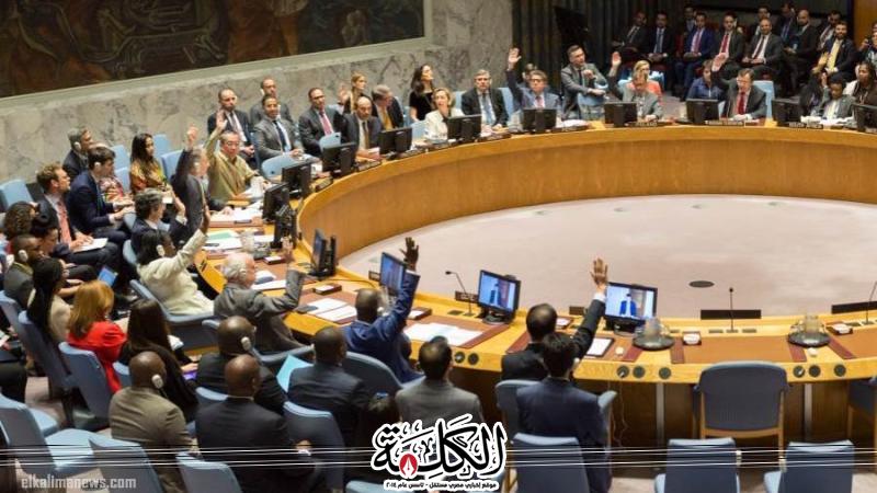 مصر تعرب عن رفضها لتكرار عجز مجلس الأمن عن إصدار قرار بوقف إطلاق النار في غزة | أخبار وتقارير | بوابة الكلمة