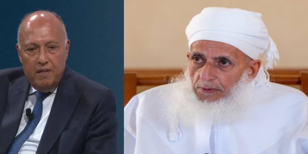 الخليلي يرد على وزير خارجية “السيسي المكسيكي” ومزاعمه ضد حماس وطن