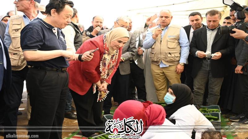 وزيرة التضامن: تخصيص 10 ملايين جنيه لدعم المشروعات متناهية الصغر في المنيا | أخبار وتقارير | بوابة الكلمة