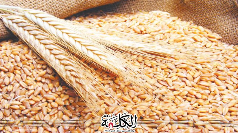 وزير التموين : وصول نسب توريد القمح في مواقع الاستلام إلى 2 مليون و 400 ألف طن | أخبار وتقارير | بوابة الكلمة