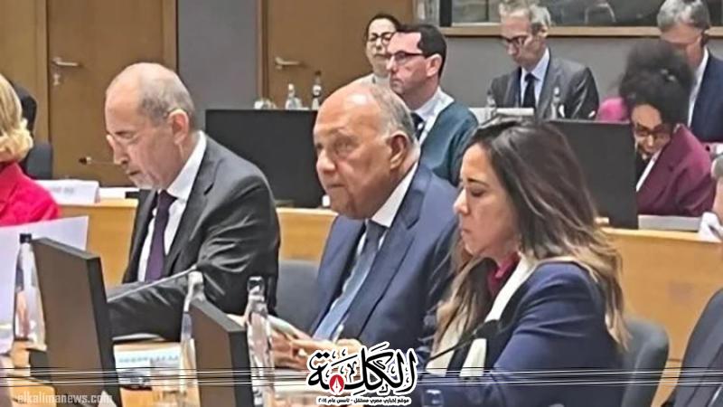 شكري يدعو إلى ضرورة تضافر التحركات العربية والأوروبية للوقف الفوري للحرب الإسرائيلية على غزة | أخبار وتقارير | بوابة الكلمة