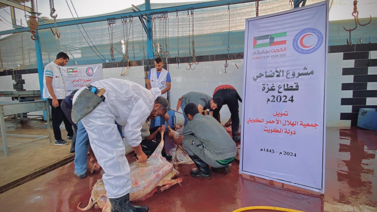جمعية الهلال الأحمر تبدأ بمشروع توزيع لحوم الأضاحي على المحتاجين في فلسطين