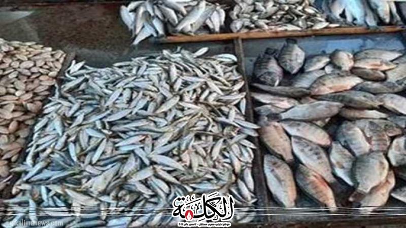 أسعار الأسماك في سوق العبور اليوم الخميس | اقتصاد | بوابة الكلمة