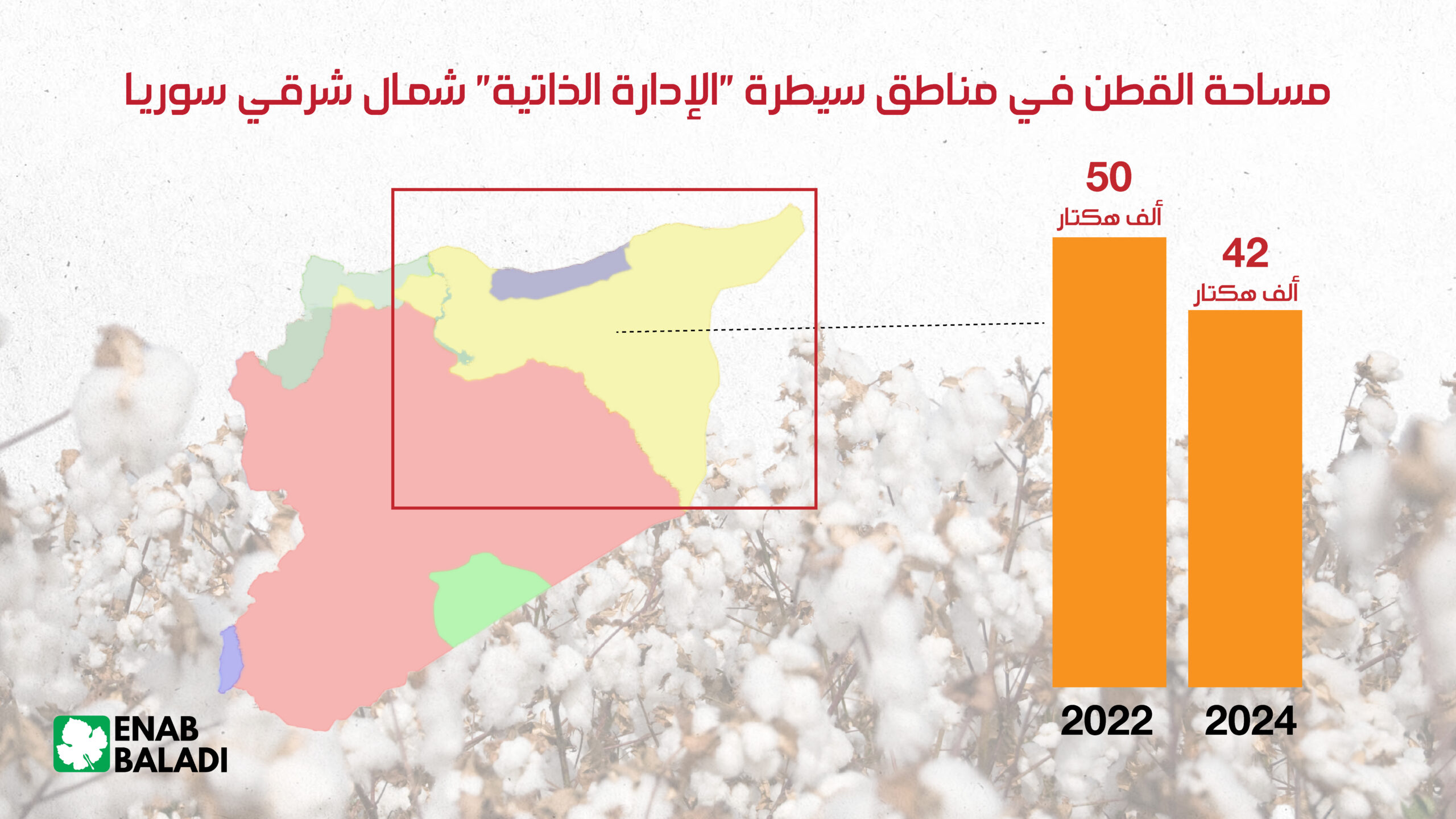 مساحة القطن في الحسكة ()