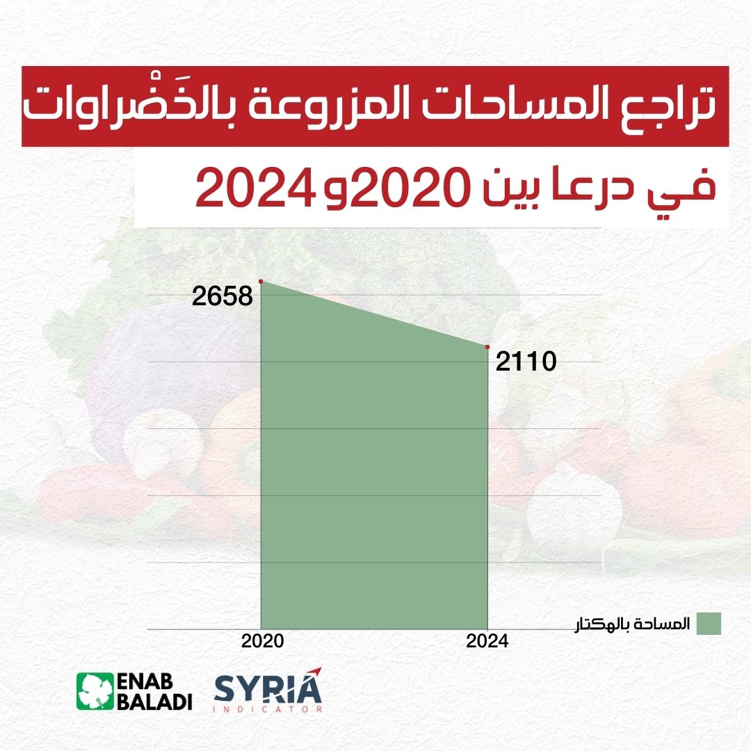 المساحات المزروعة بالخضراوات في درعا بين 2020 و2024