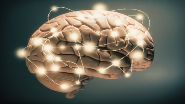 ماذا يحدث للمخ عند مشاهدة فيلم؟