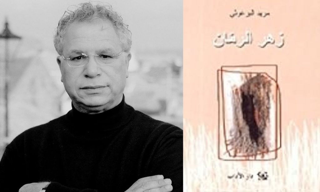 ديوان “زهر الرمان”.. عن زمن لم يتزحزح