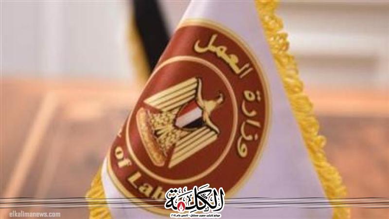 ”فيديو” يرصد حصاد وزارة العمل خلال الـ7 أيام الماضية : | أخبار وتقارير | بوابة الكلمة