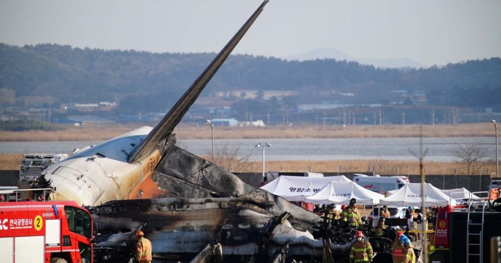 آثار ريش ودماء في محركي طائرة كوريا الجنوبية المنكوبة