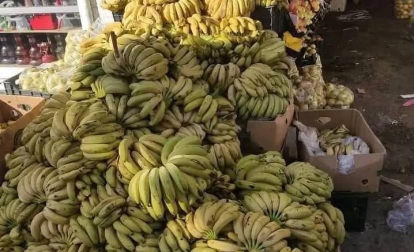 بعد سقوط نظام بشار.. الموز يرسم الابتسامة على وجه السوريين