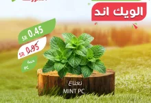 ccf0 4600 2140 00cb - عروض اسواق المزرعة صفحة واحدة الخميس 16/1/2025 لمدة 3 ايام