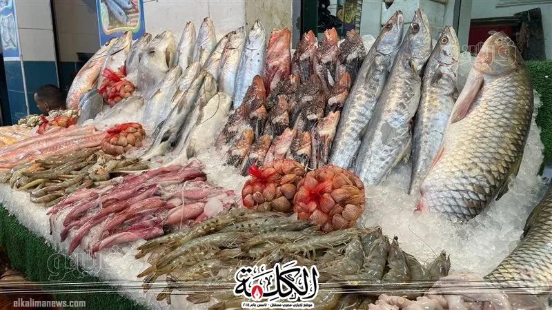 أسعار الأسماك في سوق العبور اليوم الثلاثاء | اقتصاد | بوابة الكلمة