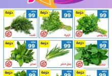 475497587 949386277300061 7584951766542679629 n - عروض مؤسسة حصاد البساتين صفحة واحدة السبت 1-2-2025 لمدة يومان