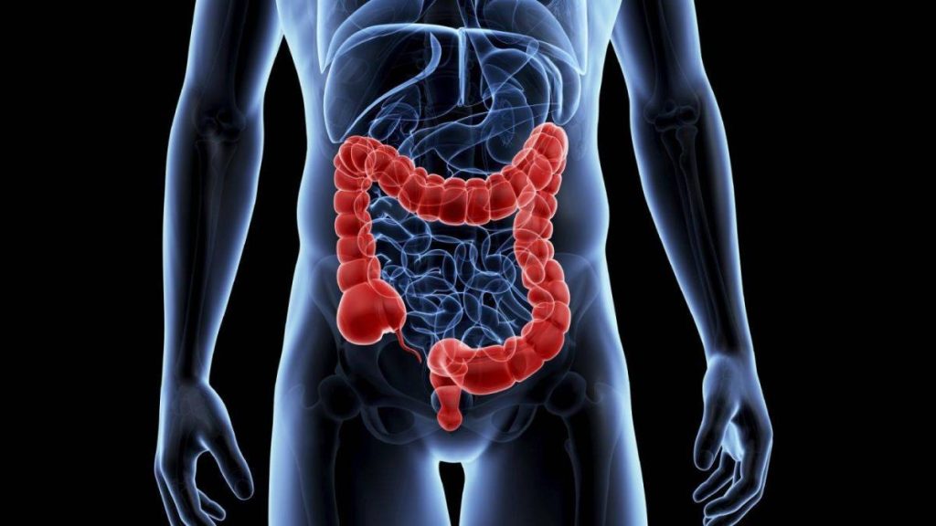 منتجات مفيدة لصحة الأمعاء الدقيقة