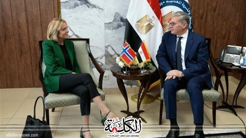 وزير البترول يبحث مع سفيرة النرويج ورئيس سكاتك التعاون فى مجال الطاقة الخضراء | اقتصاد | بوابة الكلمة