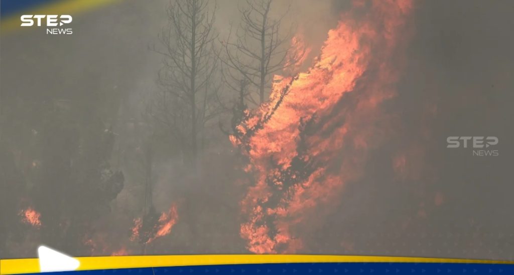 إسرائيل تدخل حالة الطوارئ مع استمرار حرائق جبال القدس