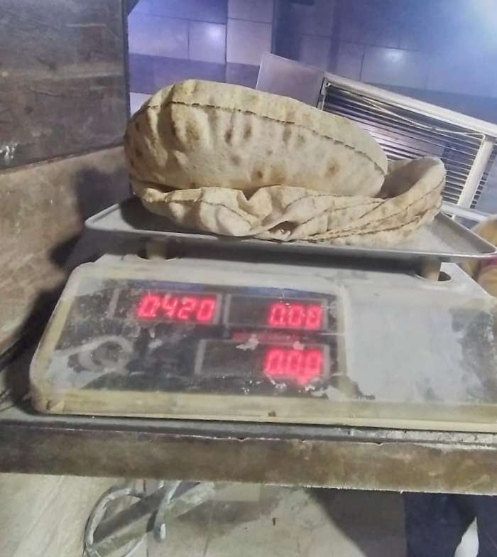 استجابة لبلدنا اليوم.. مديرية التموين بكفر الشيخ تشن حملات مكثفة على المخابز وتضرب بيد من حديد