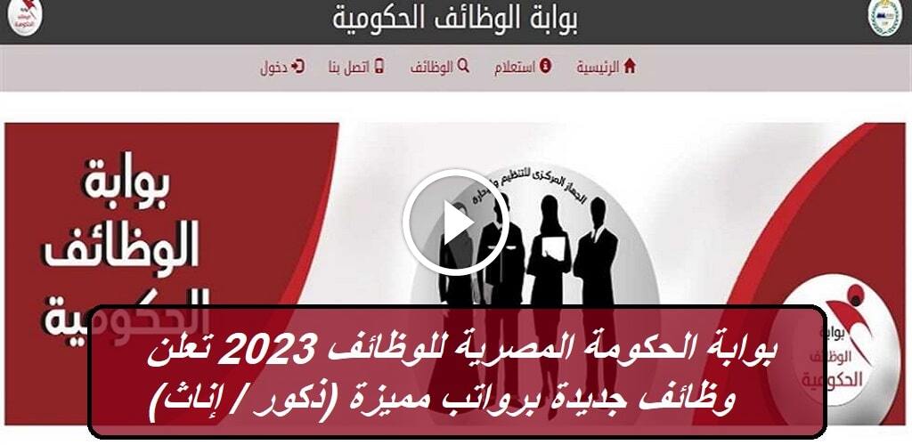 بوابة الحكومة المصرية للوظائف تعلن وظائف جديدة برواتب مميزة (ذكور / إناث)