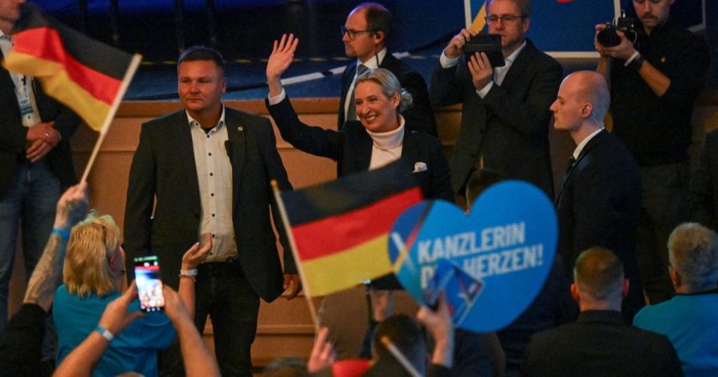 تصنيف حزب البديل من أجل ألمانيا “كياناً يمينياً متطرفاً”