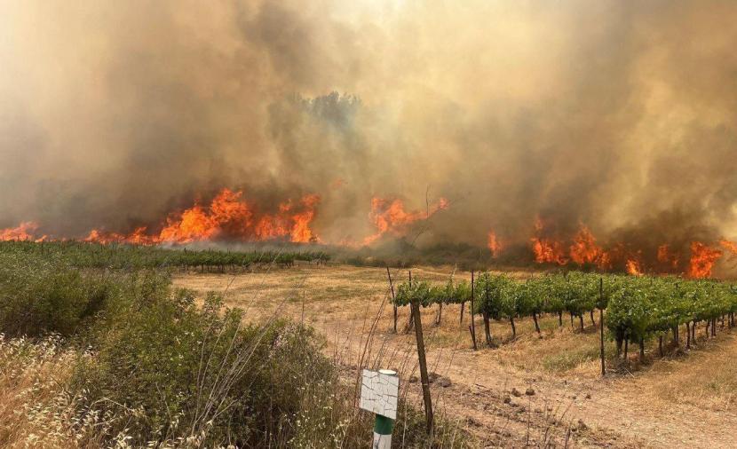 الجوع يفتك بمليوني شخص في غزة.. وإسرائيل تعلن السيطرة على الحرائق