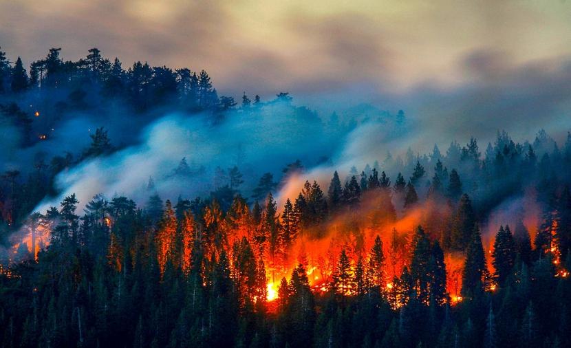 حرائق ضخمة تدمّر أكثر من 12 ألف فدان في إنجلترا