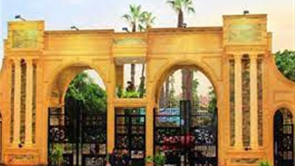 تفاصيل وشروط التقديم على وظائف جديدة بجامعة المنصورة