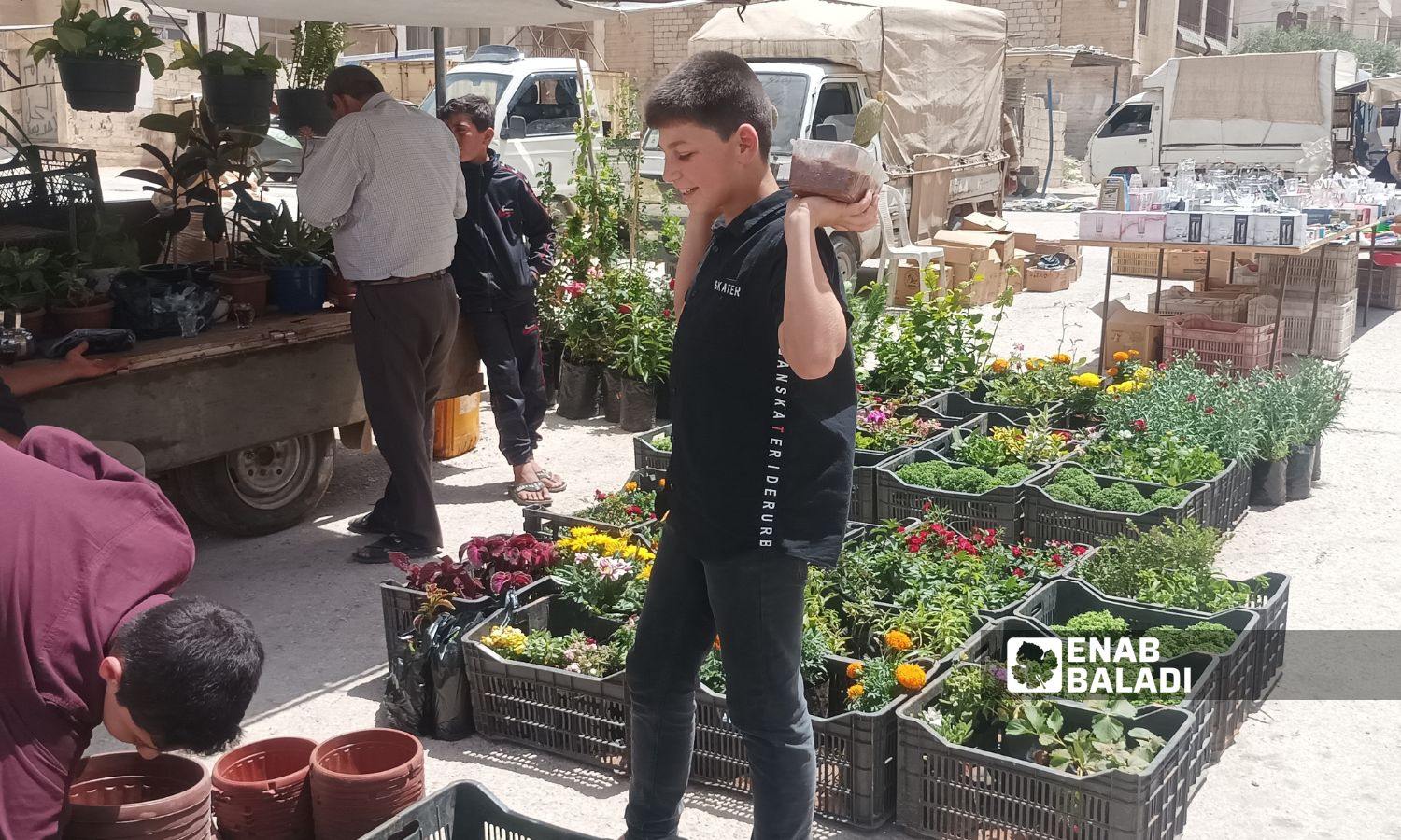 تزدهر نباتات الزينة بأنواعها المتعددة في مشاتل إدلب - 13 حزيران 2025 (/ سماح علوش)
