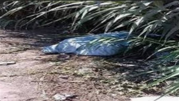 جهود مكثفة لكشف غموض العثور على جثة مدرس بأرض زراعية بقنا