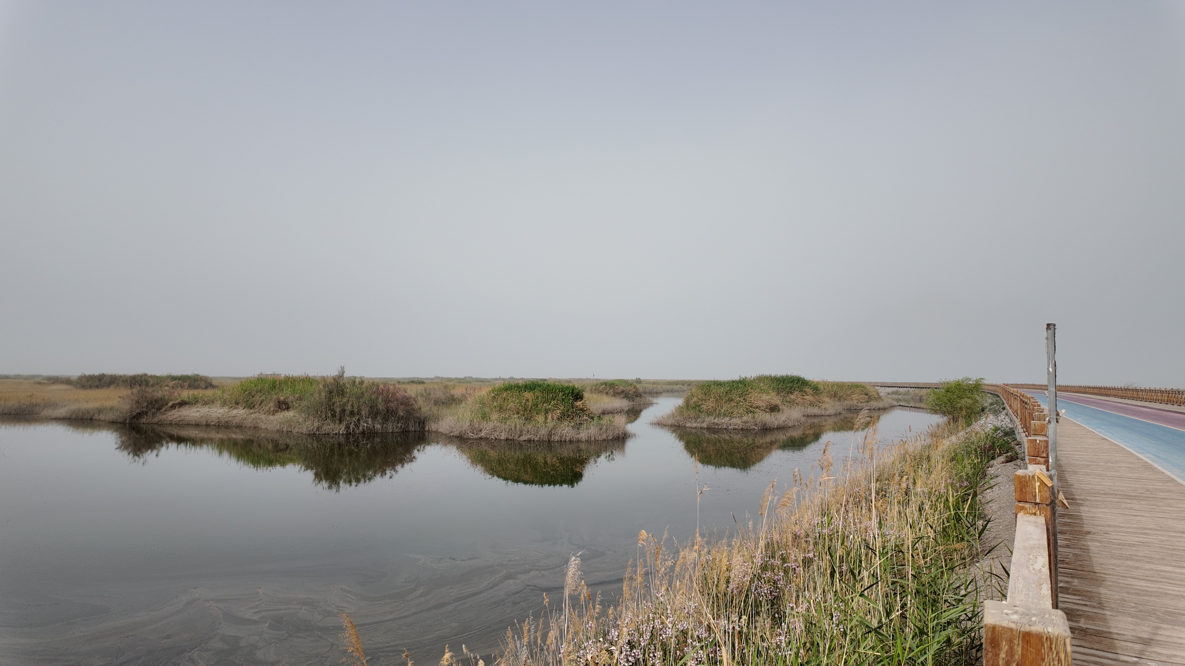البحيرة.JPG