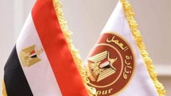 وزارة العمل تعلن عن 275 وظيفة بمشروعات الطاقة.. طريقة التقديم