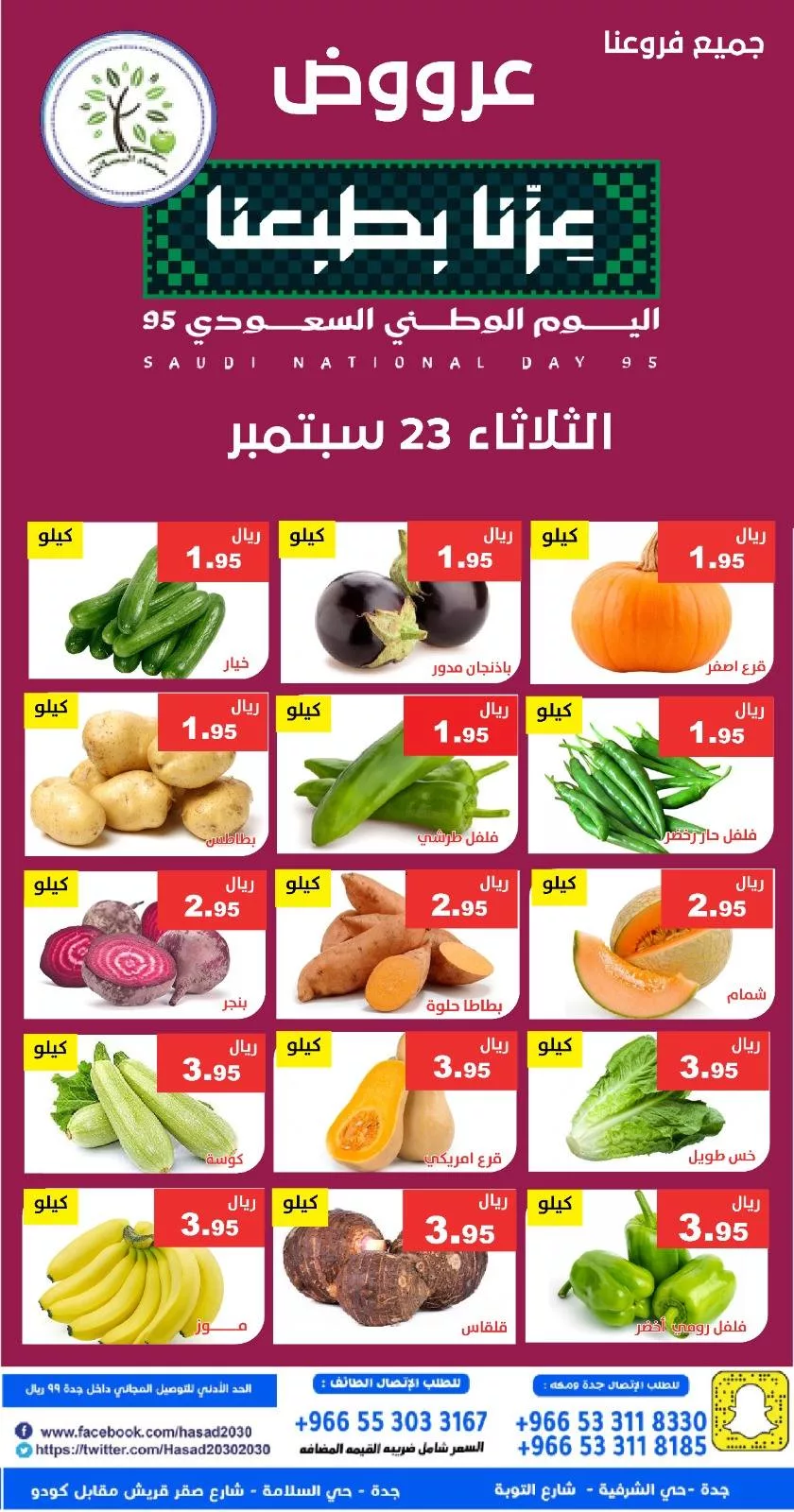 552308703 1124061736499180 4962594019985626990 n - عروض مؤسسة حصاد البساتين لليوم الوطني 95 الثلاثاء 23 سبتمبر 2025 اليوم فقط