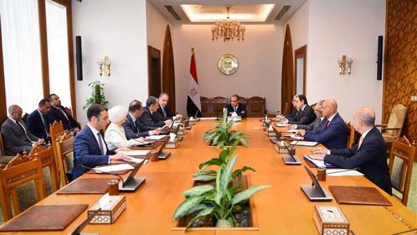 وزير الخارجية يتابع استعدادات افتتاح المتحف المصرى الكبير