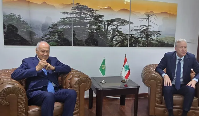 أبو الغيط: نؤكد ضرورة الانسحاب الإسرائيلي الكامل من الأراضي اللبنانية