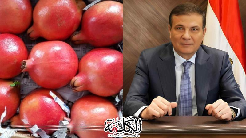وزير الزراعة يعلن رسميًا فتح السوق الفنزويلي أمام صادرات مصر من الرمان الطازج | اقتصاد وتكنولوجيا | بوابة الكلمة