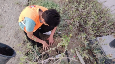 ‘الارتقاء الخيرية’ تشارك في أسبوع الشجرة – الوطن