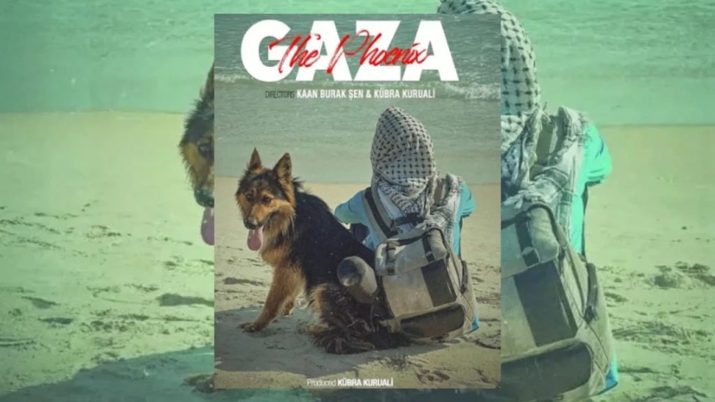 “لم يهتموا بحياة البشر”.. مخرجة تركية تروي مأساة غزة بعدسة إنسانية