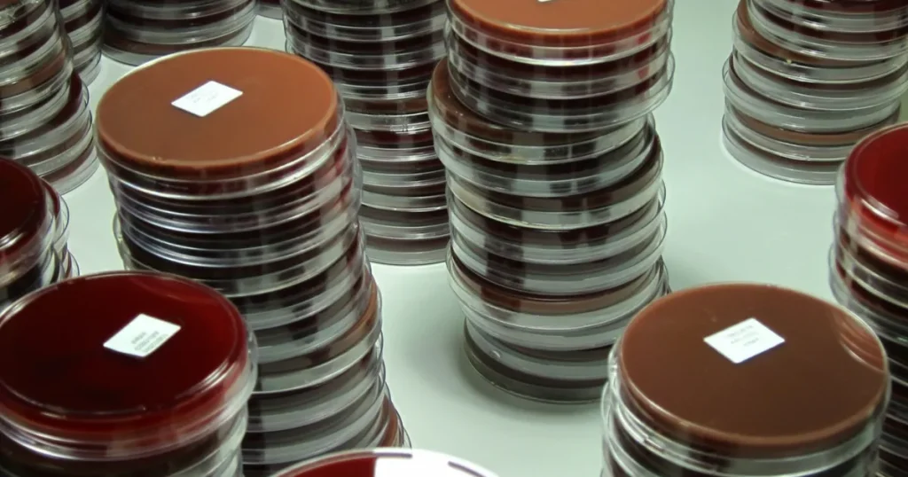 اكتشاف جديد يفتح الباب لحماية الأطفال من الأمراض البكتيرية