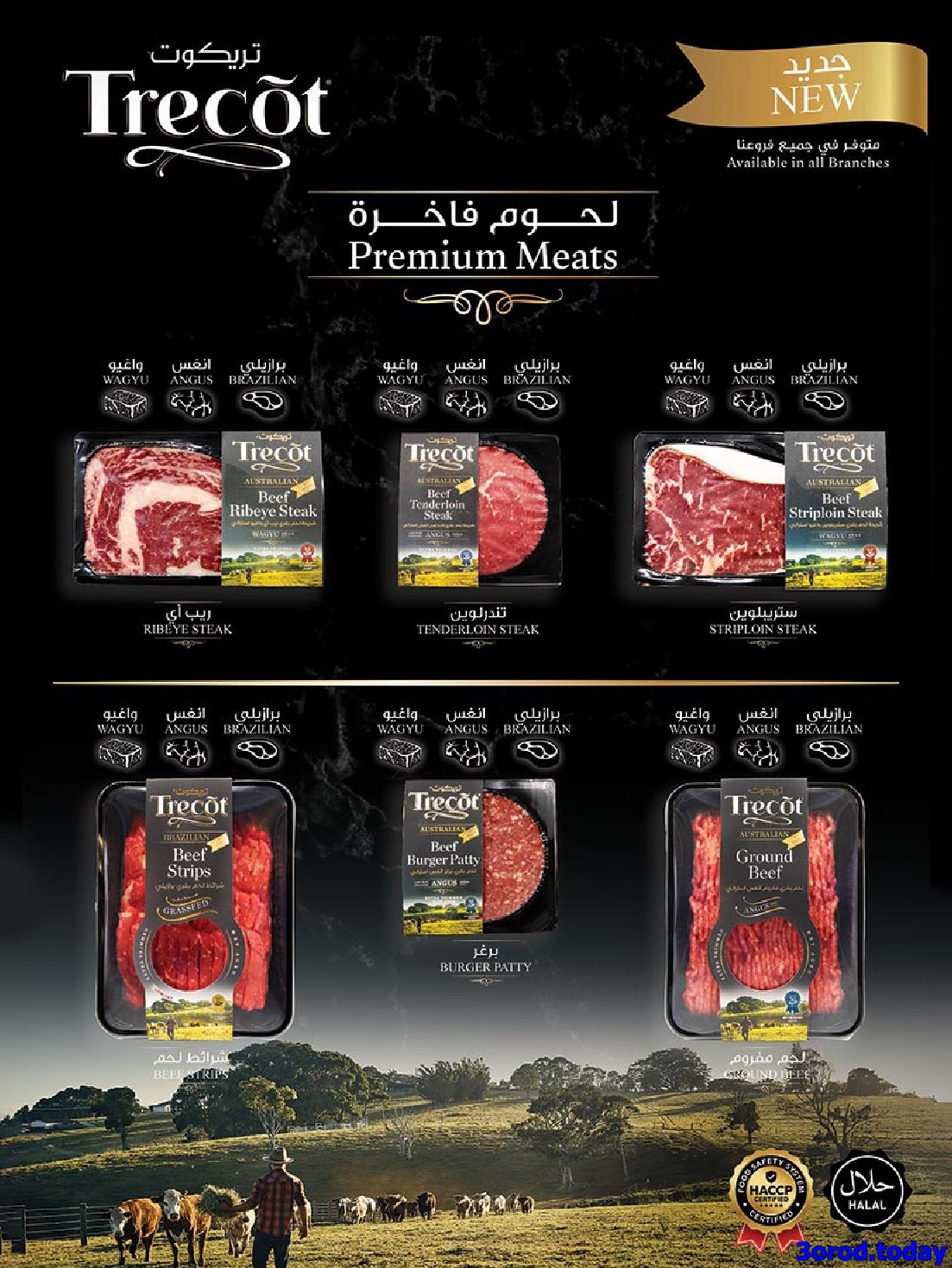 عروض بن داود خميس مشيط - مهرجان الشاي و البسكويت الأربعاء 1 اكتوبر 2025 8 img9b79be70a1f58b678a7a74eb999dd98c - عروض بن داود خميس مشيط - مهرجان الشاي و البسكويت الأربعاء 1 اكتوبر 2025