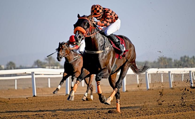 الإثارة والإبهار في ثاني أيام سباق الخيل على مضمار الرحبة