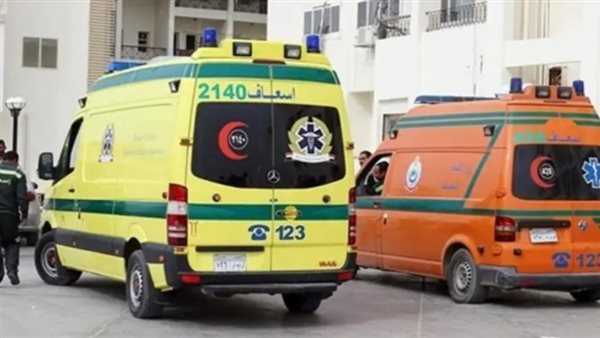 مصرع 4 وإصابة 11 في انقلاب ميكروباص بالطريق الصحراوي بأسيوط