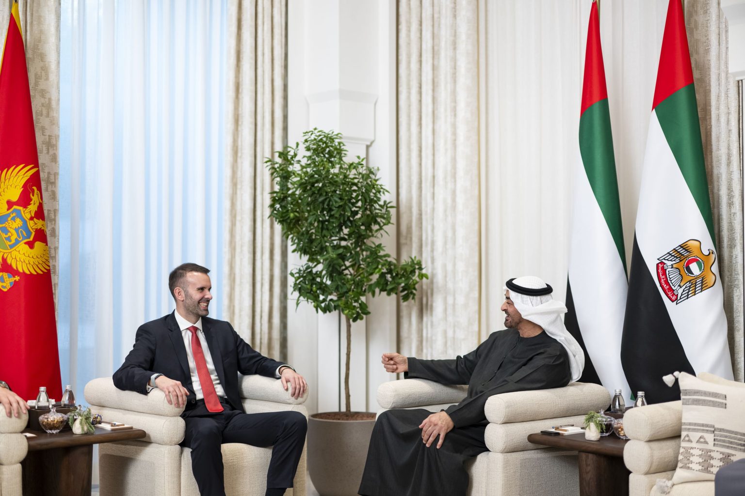 رئيس الدولة ورئيس وزراء مونتينغرو يبحثان علاقات البلدين