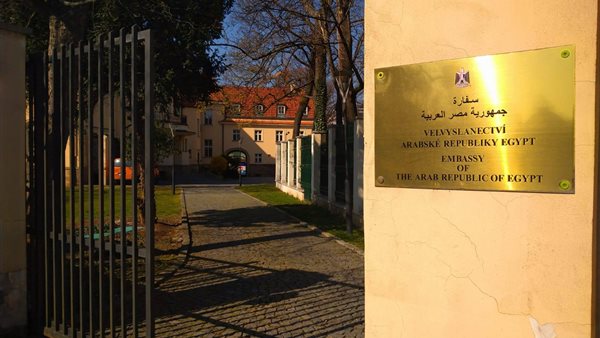 المصريون يتوافدون على السفارات في أمريكا الجنوبية للتصويت بانتخابات مجلس النواب 2025