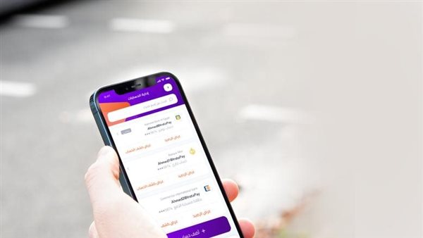 معركة السيطرة على السوق الرقمية بين «إنستاباى» ومحافظ الكاش وكروت الائتمان